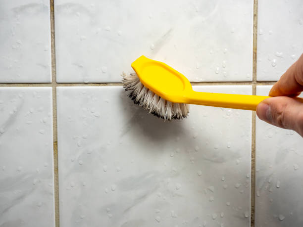 Best Mold Remediation for Specific Building Types in Crafton, PA