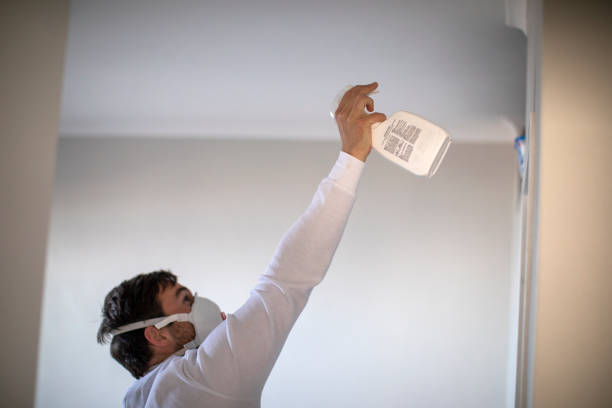 Best White Mold Remediation in Crafton, PA