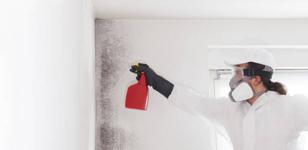 Best Industrial Mold Remediation in Crafton, PA